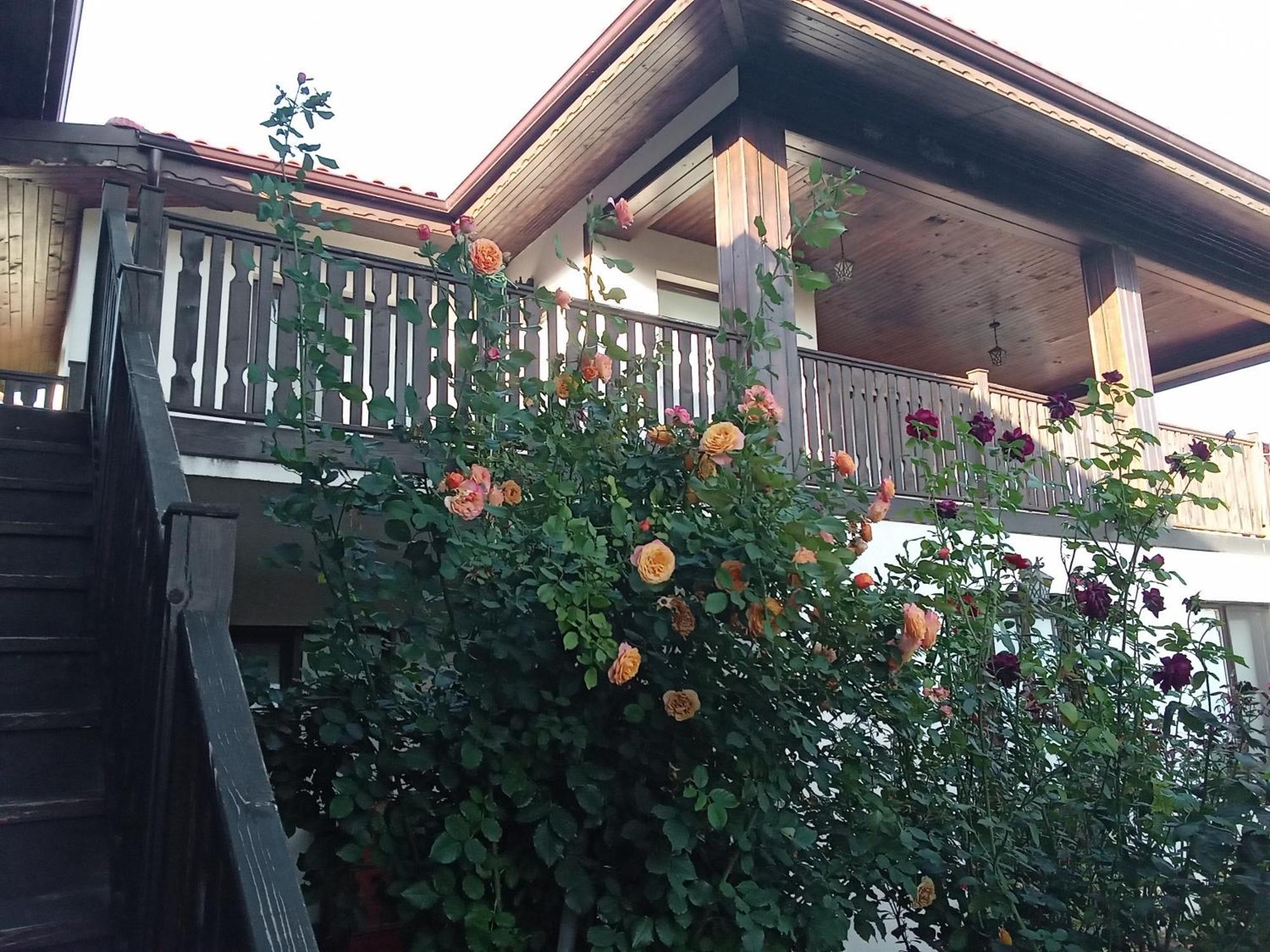 Поповата Къща Krapets (Dobrich) Exterior foto