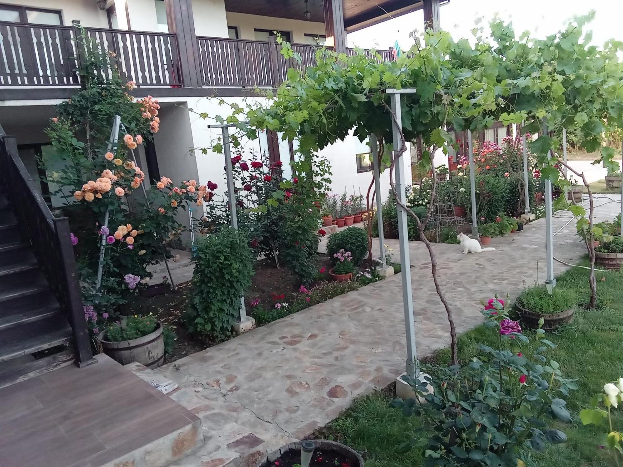 Поповата Къща Krapets (Dobrich) Exterior foto